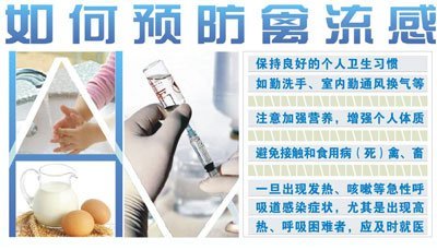 禽流感强势来袭 银屑病患者需加倍警惕